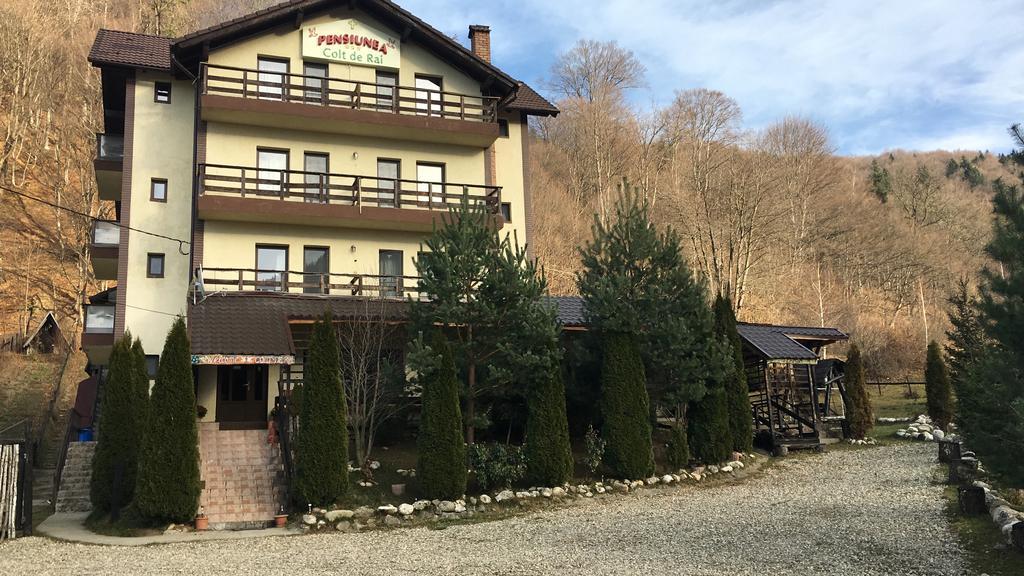 Vila Colt De Rai Hotel Risnov Bagian luar foto