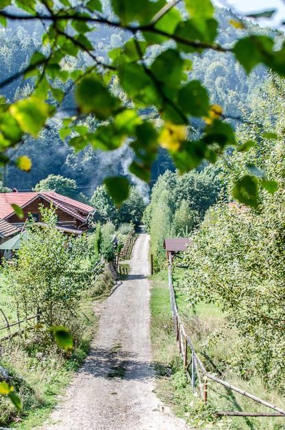 Vila Colt De Rai Hotel Risnov Bagian luar foto